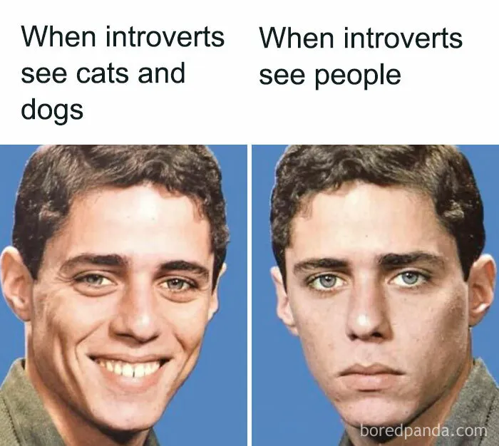 If You Need A Laugh Today, These 50 Memes Can Make That Happen (New Pics)