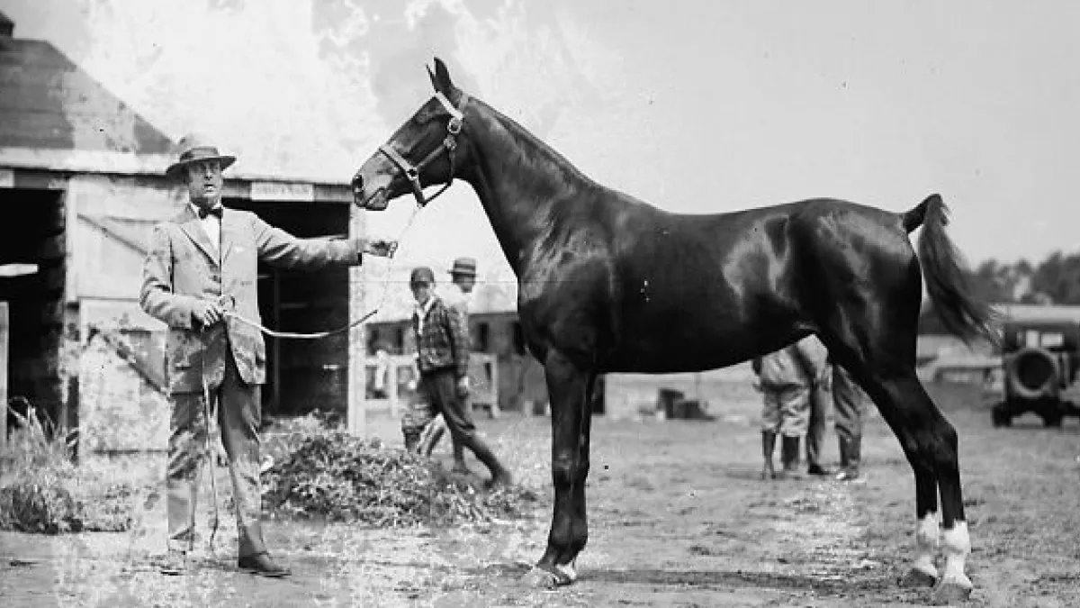 50+ Time Capsules Images Caught On Camera With Glass Negatives
