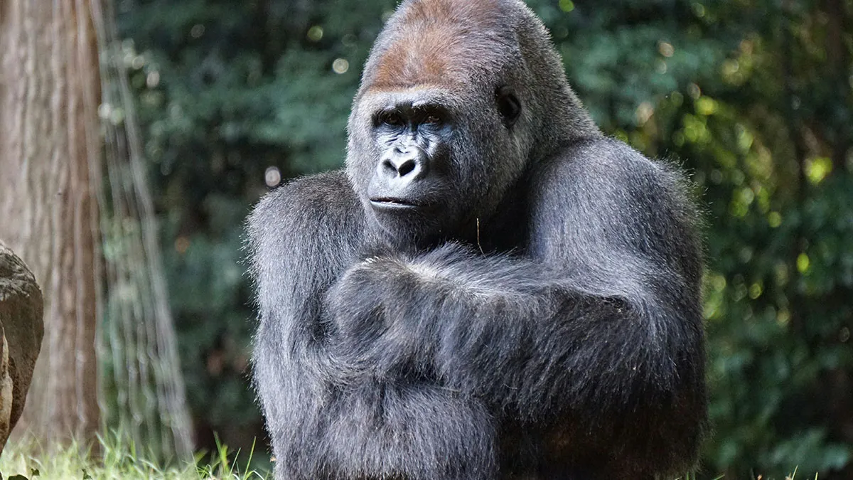 Things That Went Viral Online In April (If You’re Chronically Online, You Probably Saw Them)