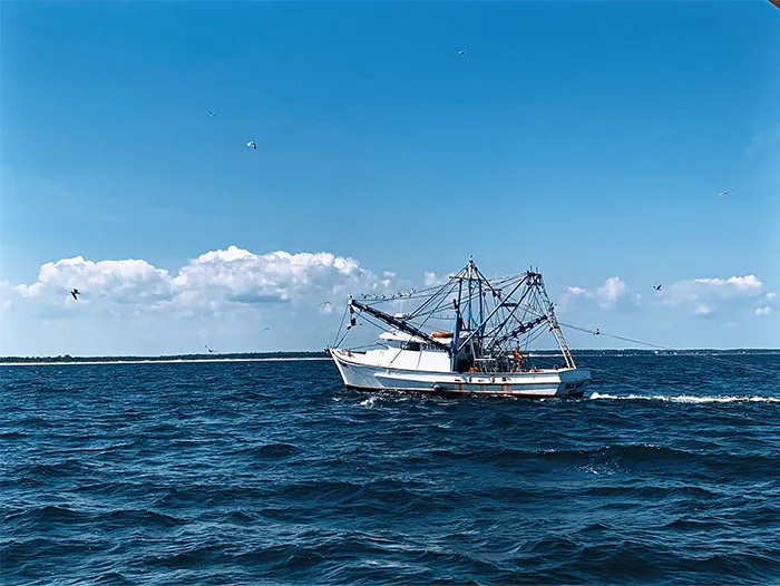 “People Who Have Worked At Sea, What’s The Creepiest Thing That’s Happened?” (50 Answers)