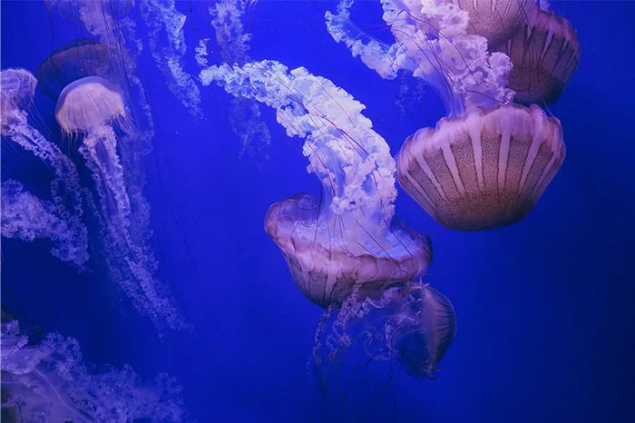 “People Who Have Worked At Sea, What’s The Creepiest Thing That’s Happened?” (50 Answers)