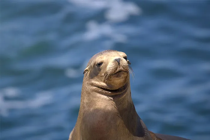 “People Who Have Worked At Sea, What’s The Creepiest Thing That’s Happened?” (50 Answers)