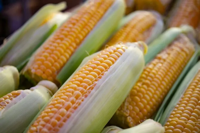 Corn (Per Dozen Ears) - $1.18 vs. $4.50–$5.00 (Estimated Retail)