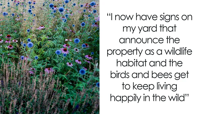 Neighbor Files 30 Complaints Over “Wild” Yard, Homeowner Takes The Legal Route Out Of Spite
