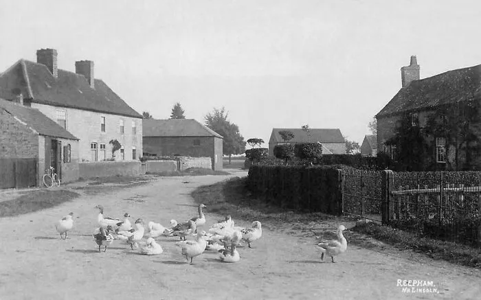 A Flock Of Geese Thwarted The Gauls Plan To Infiltrate Rome 
