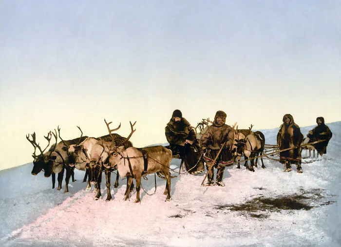 Traveling By Reindeer, C. 1890