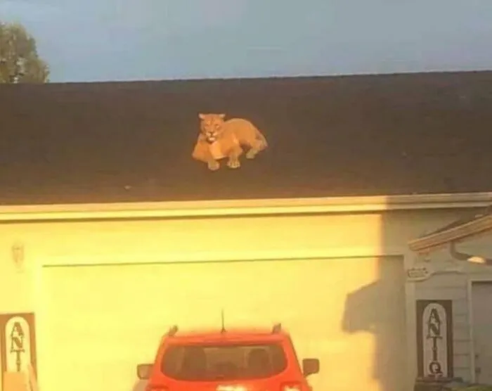 50 Weird And Wild Pics From An IG Account Dedicated To Posting Unhinged Content