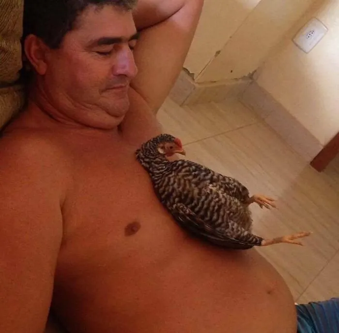 50 Weird And Wild Pics From An IG Account Dedicated To Posting Unhinged Content