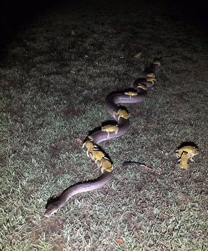 50 Weird And Wild Pics From An IG Account Dedicated To Posting Unhinged Content