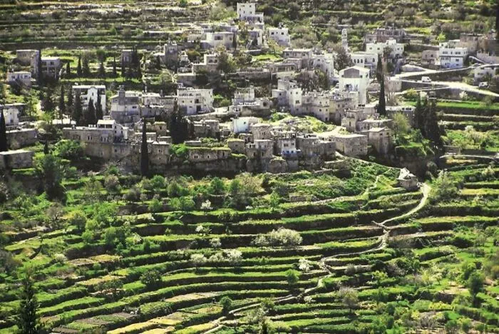 Palestine: Land Of Olives And Vines – Cultural Landscape Of Southern Jerusalem, Battir