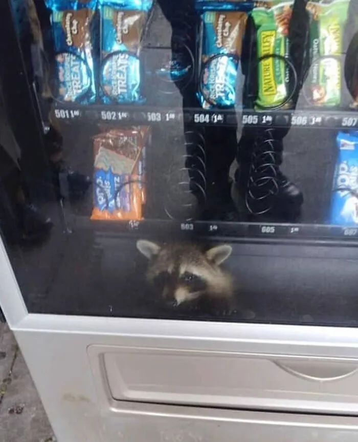 50 Weird And Wild Pics From An IG Account Dedicated To Posting Unhinged Content