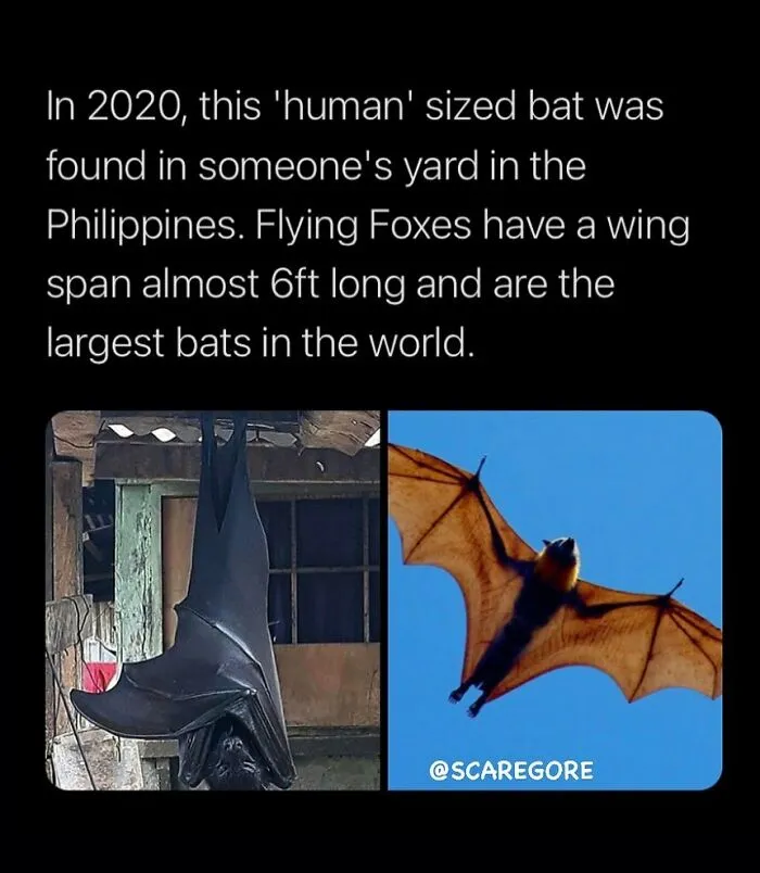 50 Creepy Facts About The World We Live In That Prove Reality Is Scarier Than Fiction
