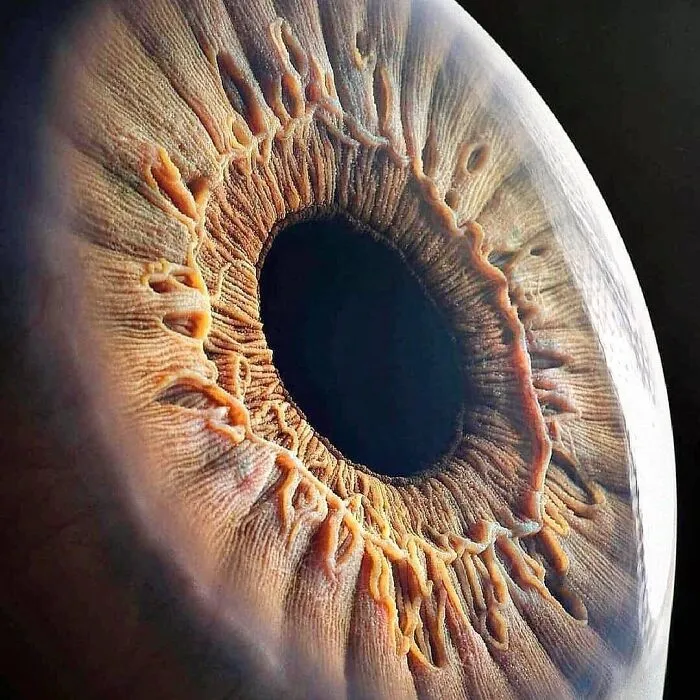 Hermosa imagen de cerca del ojo humano