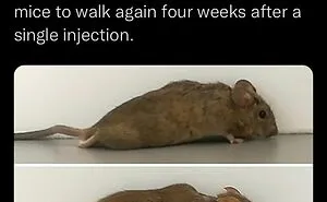 50 Creepy Facts About The World We Live In That Prove Reality Is Scarier Than Fiction