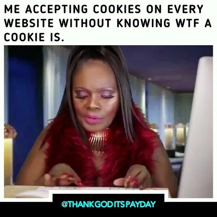 Woman wearing a red fur scarf typing on a keyboard with a caption about accepting cookies, related to work and money memes.
