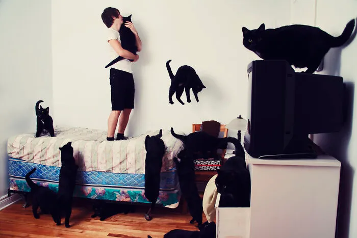 40 Purrfect Cat Pics That Might Warm Your Soul (And Make You Laugh)