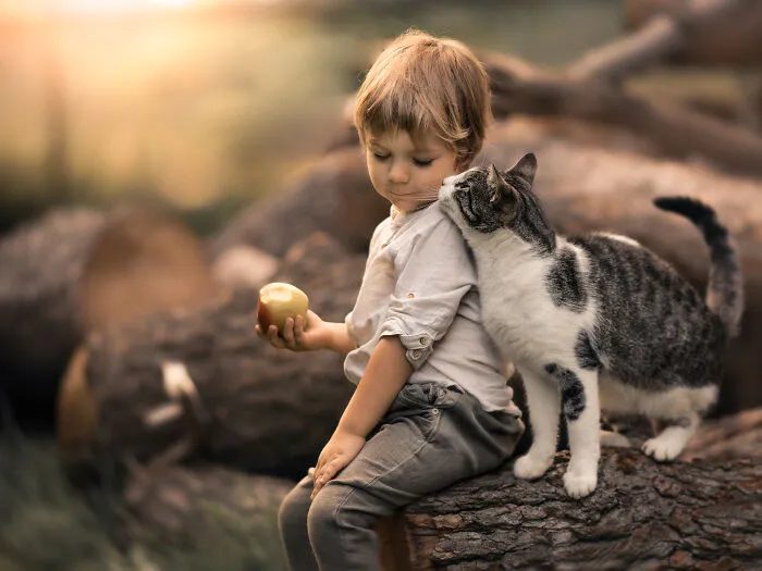 40 Purrfect Cat Pics That Might Warm Your Soul (And Make You Laugh)