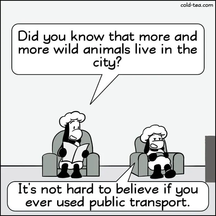 50 New Comics By Kowo That Turn Everyday Life Into Something Absurd