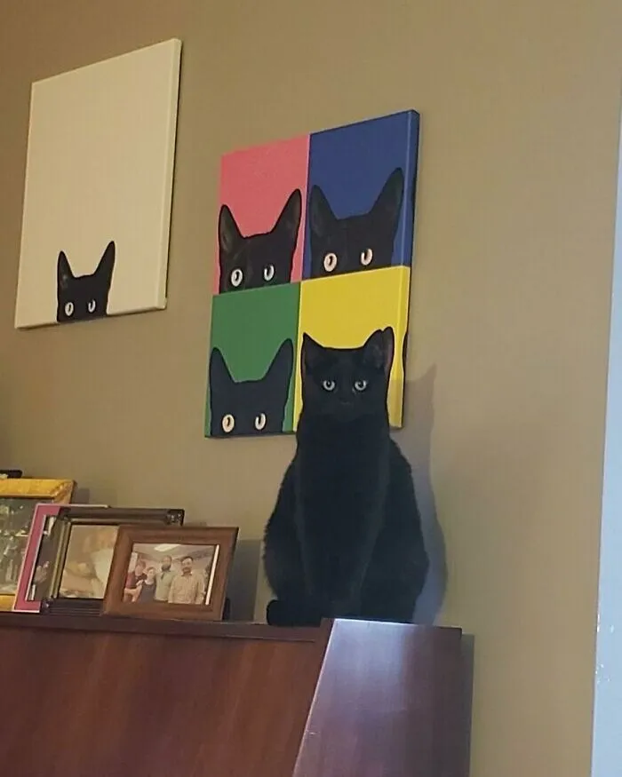 40 Times Cat Owners Captured The Most Adorkable Pics Of Their Pets