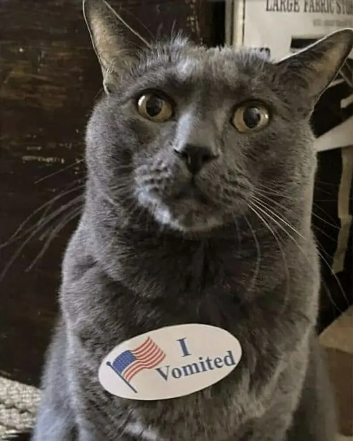 40 Times Cat Owners Captured The Most Adorkable Pics Of Their Pets
