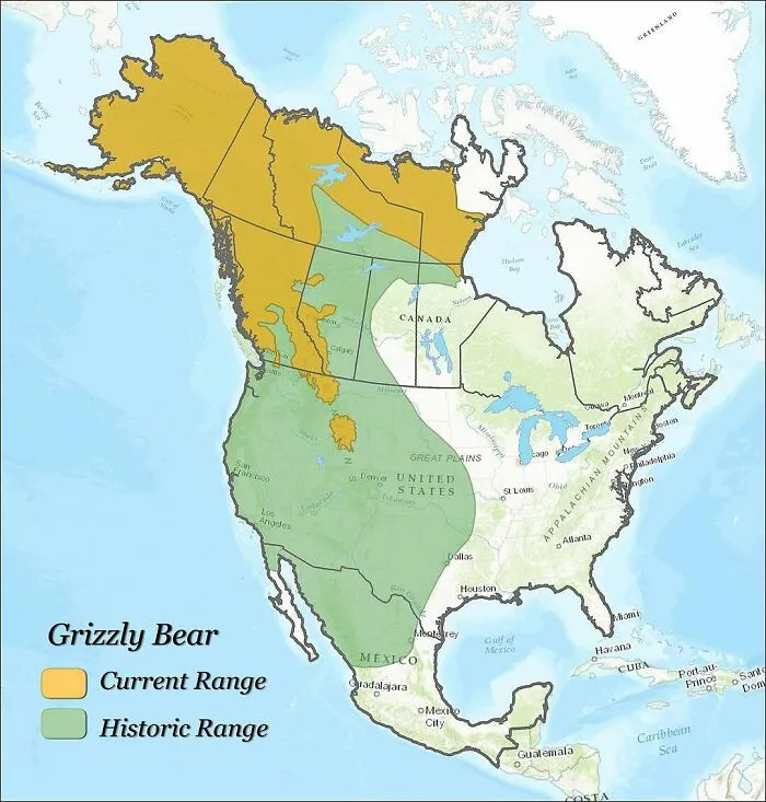 Historical And Current Grizzly Bear Range In North America