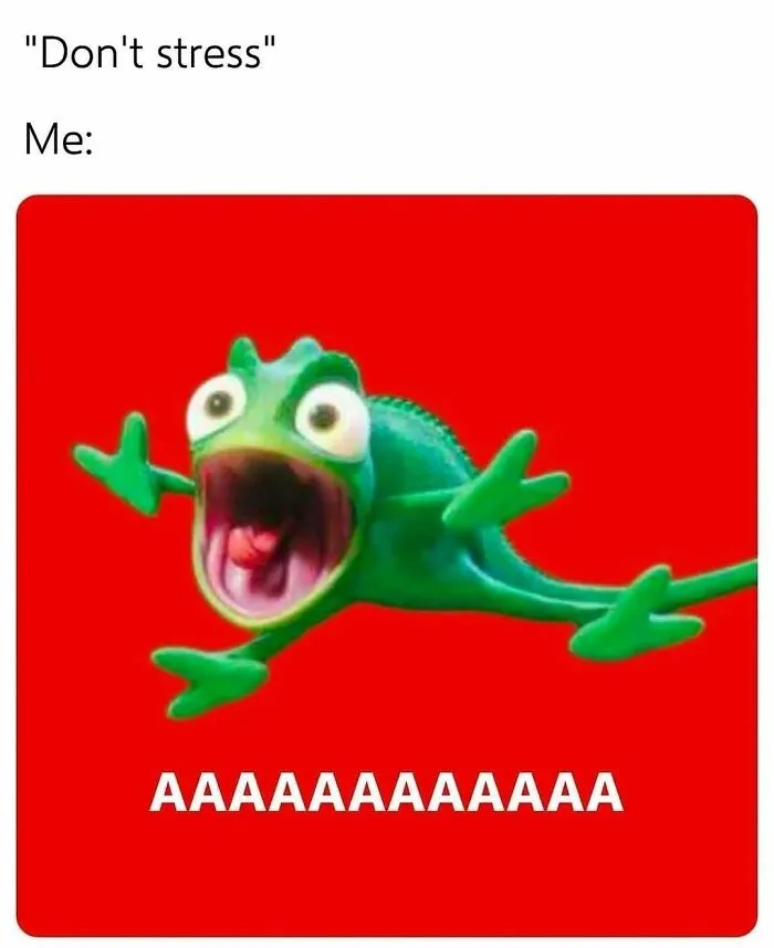 32 Relatable Memes For Those Who Could Use A Chuckle Today