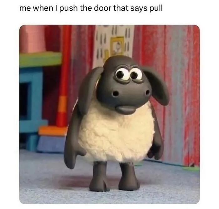 Claymation sheep with a confused expression illustrating a hilarious meme from a collection of random memes to brighten your day.