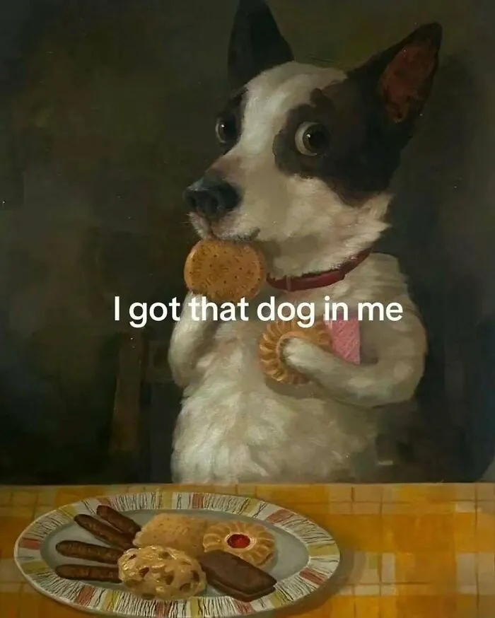 50 Funny Memes That Are All Too Relatable, Shared By This Instagram Page (New Pics)