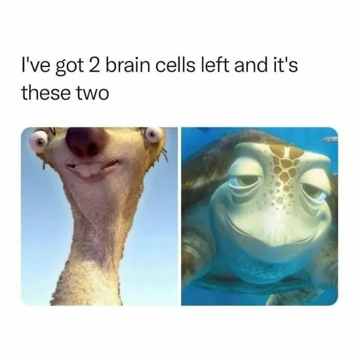 32 Relatable Memes For Those Who Could Use A Chuckle Today