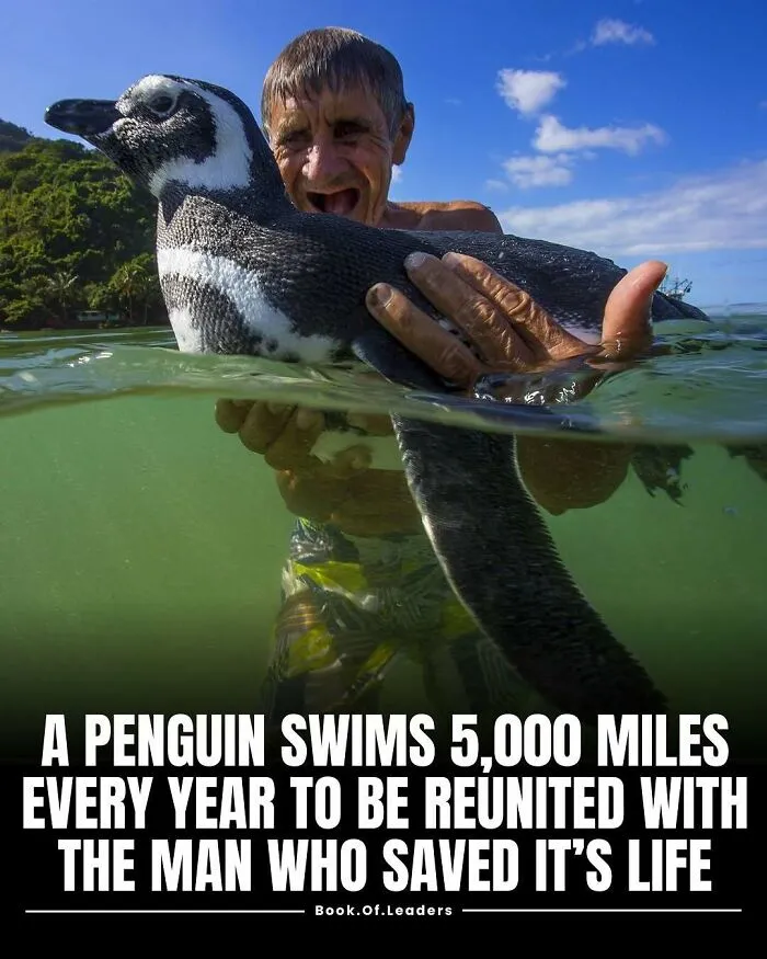 If You Want To Learn About Random Things That Happened Around The World, Here Are 50 Facts For You