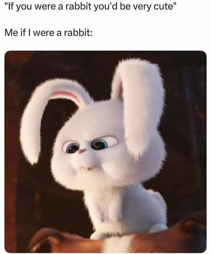 32 Relatable Memes For Those Who Could Use A Chuckle Today