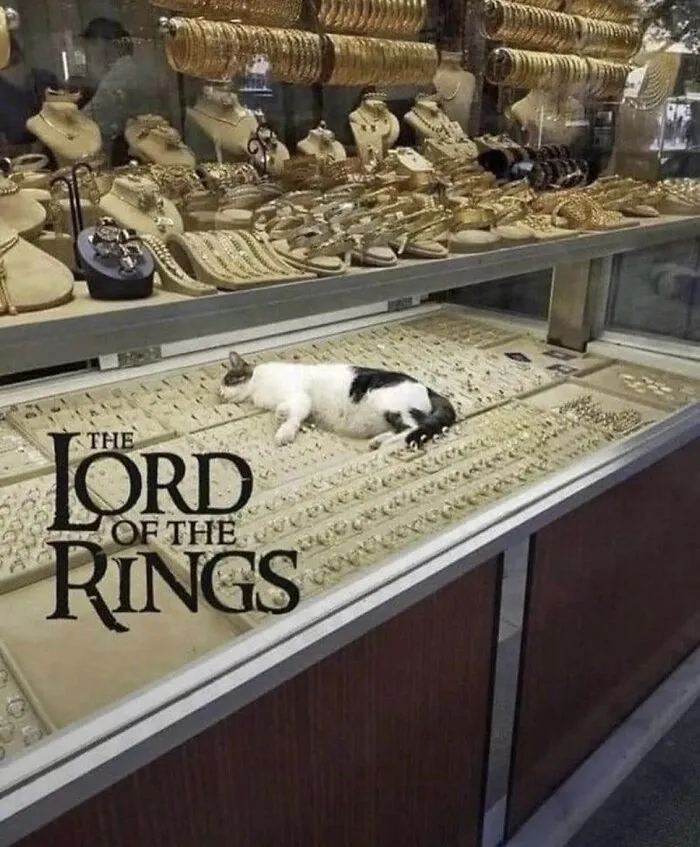 40 Times Cat Owners Captured The Most Adorkable Pics Of Their Pets