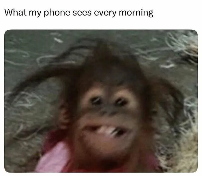 32 Relatable Memes For Those Who Could Use A Chuckle Today