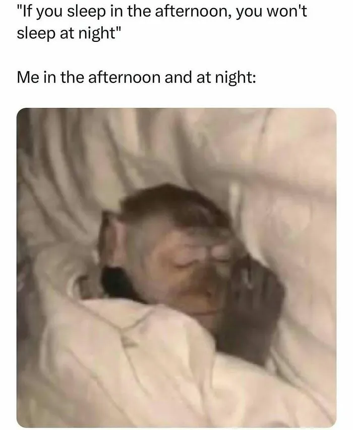 32 Relatable Memes For Those Who Could Use A Chuckle Today