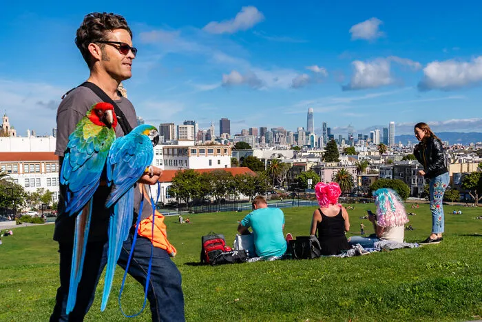 Through My Lens: 20 Moments From California’s Urban Settings