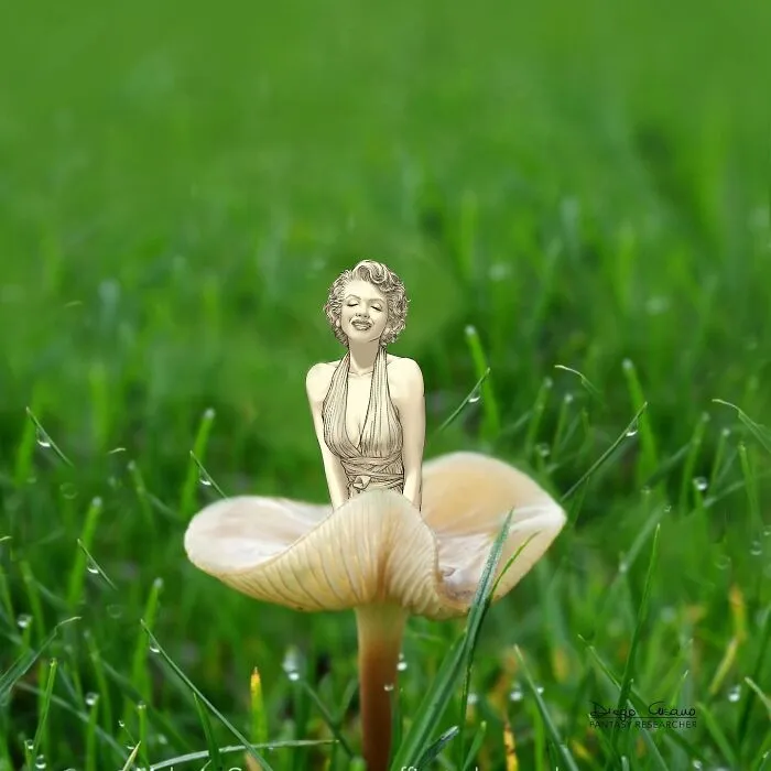 Fantasy Researcher: Illustrator’s 50 Clever Twists On Ordinary Objects (New Pics)