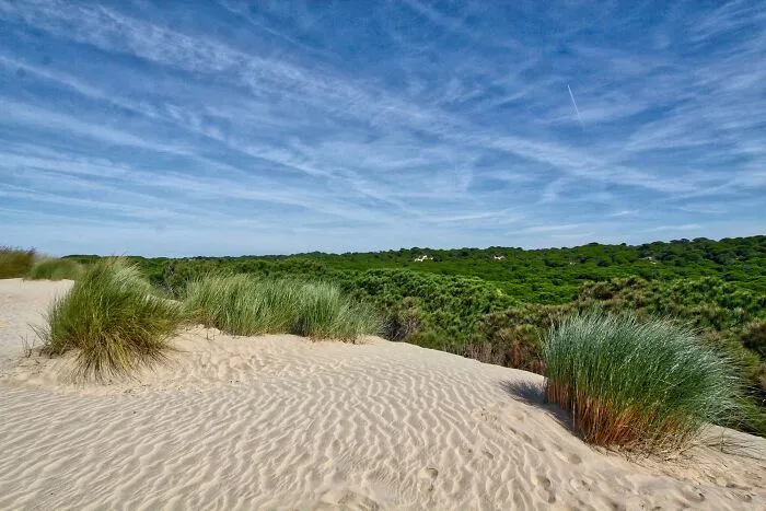 Donana National Park, Huelva, Spain