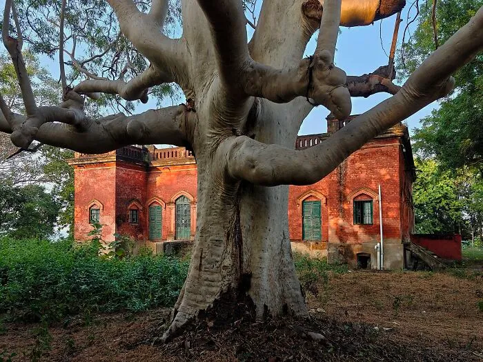 I Photographed Simultala, A Timeless Escape From The Modern World In India (10 Pics)