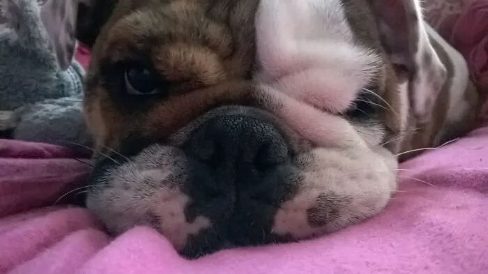 Princess Isabough (Izzy), My Baby Girl