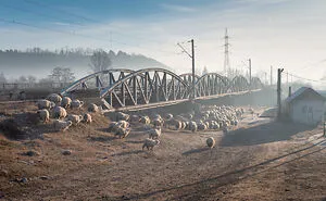 This Photographer Traveled Across Europe To Capture The Raw Beauty Of Ordinary Human Moments (20 Pics)