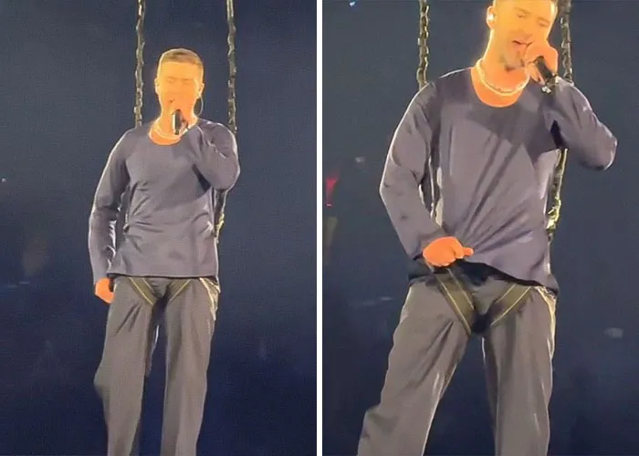 Justin Timberlake leaving little to the imagination in a harness