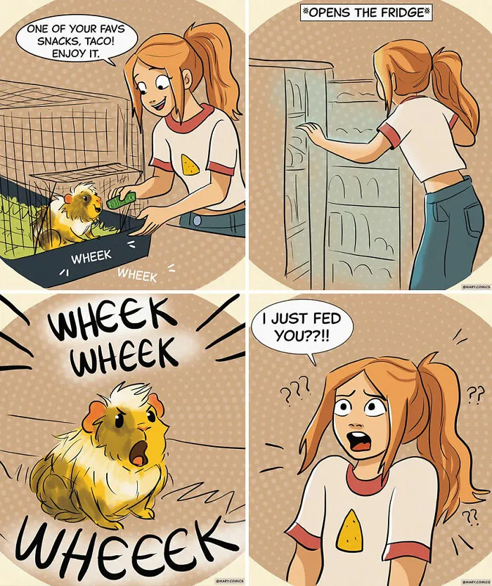 32 New Comics Depicting Everyday Situations By Mary Nicola