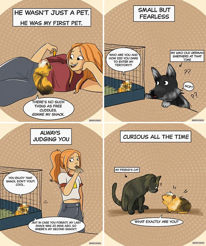 32 New Comics Depicting Everyday Situations By Mary Nicola