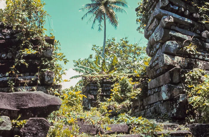 Ancient stone ruins overgrown with vegetation and a palm tree under a clear blue sky, a stunning UNESCO treasure.