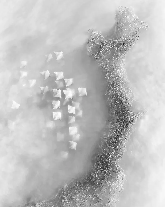 Another World | 3rd Place In Professionals Category | Contest Winners