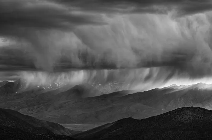 Sierra Rains | Gold In Professionals Category | Category Winners