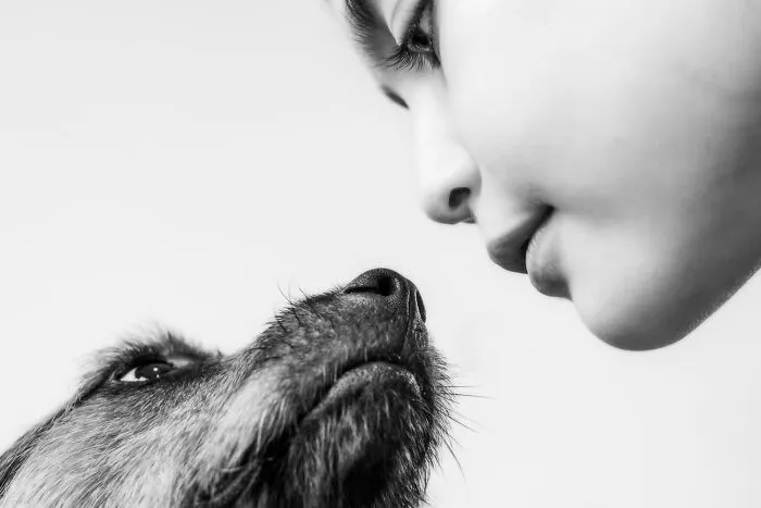 Fur-Sister | Silver In Non Professionals Category | Category Winners