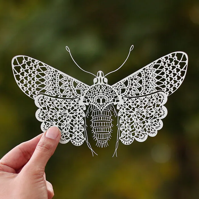From Intricate Cutouts To Colorful Collages: Bored Panda's 50 Favorite Paper Artworks, Created By Talented Artists