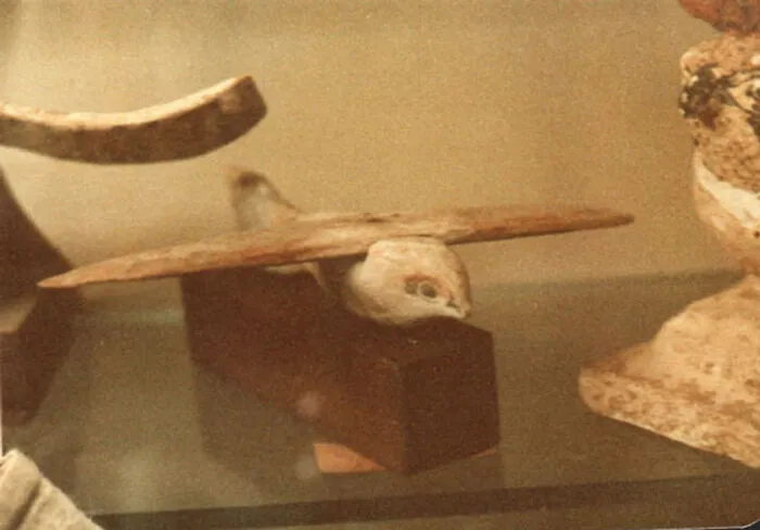 Ancient wooden bird artifact with outstretched wings displayed among bizarre historical artifacts in a museum setting.