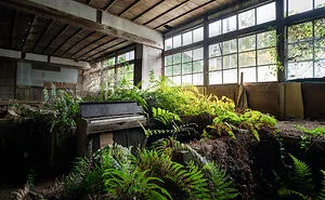 My 11 Photos Of Forgotten Pianos Slowly Decaying In Abandoned Places Across Japan